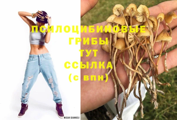 соль ск Михайлов