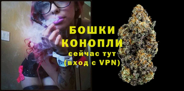 соль ск Михайлов