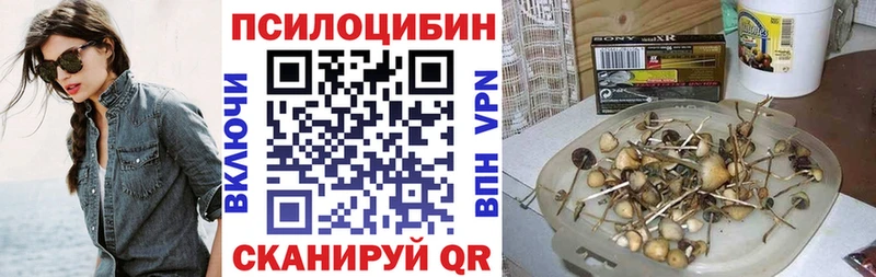 Псилоцибиновые грибы Cubensis  Купить где  Алушта 